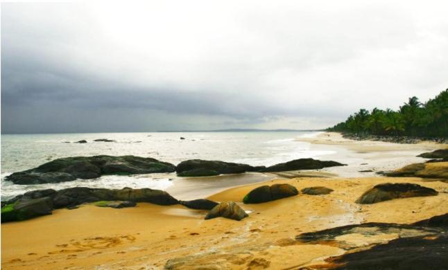 Hotel Nest Residency à Kozhikode Extérieur photo